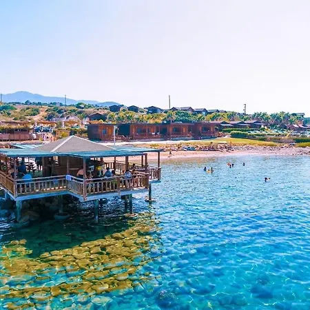 بيت ضيافة Zambak Village & Restaurant Superb Seafront Location ! Agios Georgios (Girne)